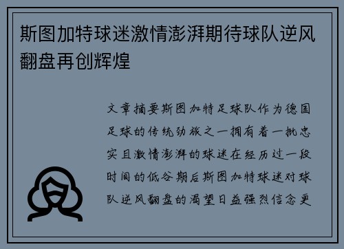 斯图加特球迷激情澎湃期待球队逆风翻盘再创辉煌